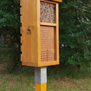 MONTFRED 1 XL